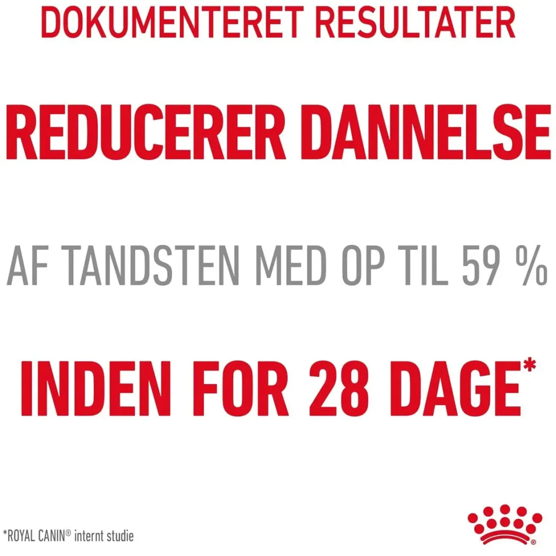 Best Royal Canin Dental Care 400 gram Kattefoder & Snacks