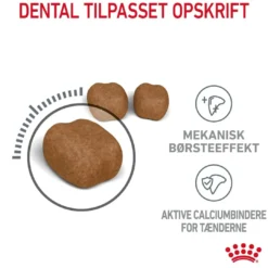 Sale Royal Canin Dental Care 1,5 kg Kattefoder & Snacks
