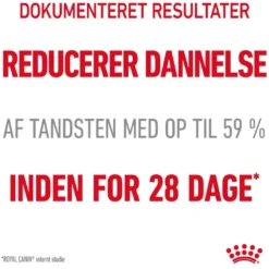 Hot Royal Canin Dental Care 3,5 kg Kattefoder & Snacks