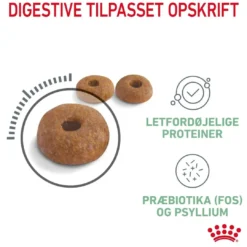 Sale Royal Canin Digestive Care 400 gram Kattefoder & Snacks