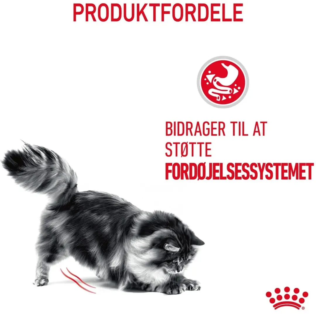 Online Royal Canin Digestive Care 4 kg Kattefoder & Snacks