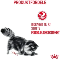 Royal Canin Digestive Care 10 kg Kattefoder & Snacks