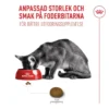 New Royal Canin Exigent FHN Fussy 2 kg Kattefoder & Snacks