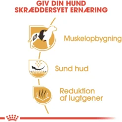 Hot Royal Canin French Bulldog Adult 3 kg - tørfoder til voksne hunde Hundefoder|Tørfoder Til Hunde I Alle Størrelser Og Aldre