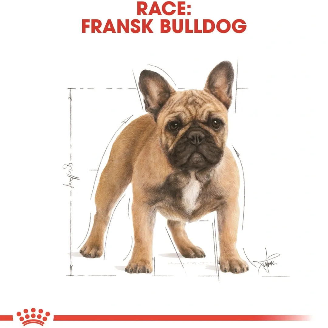 Hot Royal Canin French Bulldog Adult 3 kg - tørfoder til voksne hunde Hundefoder|Tørfoder Til Hunde I Alle Størrelser Og Aldre