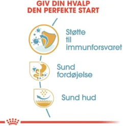 Clearance Royal Canin French Bulldog Puppy 3 kg - fuldfoder til hvalpe Hundefoder|Tørfoder Til Hunde I Alle Størrelser Og Aldre