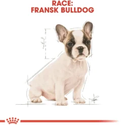 Clearance Royal Canin French Bulldog Puppy 3 kg - fuldfoder til hvalpe Hundefoder|Tørfoder Til Hunde I Alle Størrelser Og Aldre