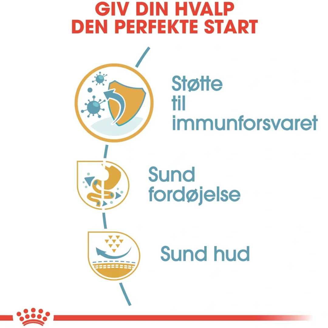Hot Royal Canin French Bulldog Puppy 10 kg - tørfoder til hvalpe Hundefoder|Tørfoder Til Hunde I Alle Størrelser Og Aldre