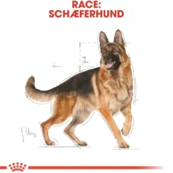 Online Royal Canin German Shepherd Adult 11 kg - tørfoder til voksne hunde Hundefoder|Tørfoder Til Hunde I Alle Størrelser Og Aldre