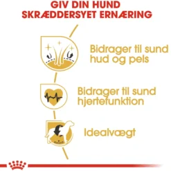 Best Royal Canin Golden Retriever Adult 12 kg - tørfoder til voksne hunde Hundefoder|Tørfoder Til Hunde I Alle Størrelser Og Aldre