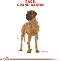 Online Royal Canin Great Dane Adult 12 kg - tørfoder til voksne hunde Hundefoder|Tørfoder Til Hunde I Alle Størrelser Og Aldre