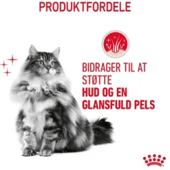 Clearance Royal Canin Hair and Skin 4 kg Kattefoder & Snacks