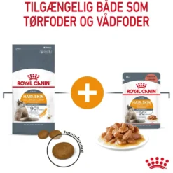 Hot Royal Canin Hair and Skin 10 kg Kattefoder & Snacks