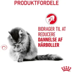 Royal Canin Hairball Care 2 kg Kattefoder & Snacks