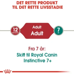 Clearance Royal Canin Instinctive Jelly - vådfoder 85 g Kattefoder & Snacks