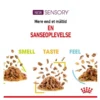 Hot Royal Canin Kattevådmad Sensory Smell Sovs Adult Kattefoder & Snacks