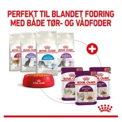 Hot Royal Canin Kattevådmad Sensory Smell Sovs Adult Kattefoder & Snacks