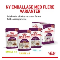 Hot Royal Canin Kattevådmad Sensory Smell Sovs Adult Kattefoder & Snacks