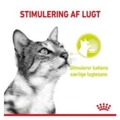 Hot Royal Canin Kattevådmad Sensory Smell Sovs Adult Kattefoder & Snacks