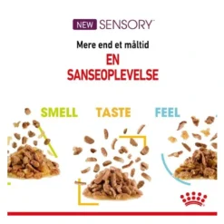 Online Royal Canin Kattevådmad Sensory Feel Sovs Adult Kattefoder & Snacks