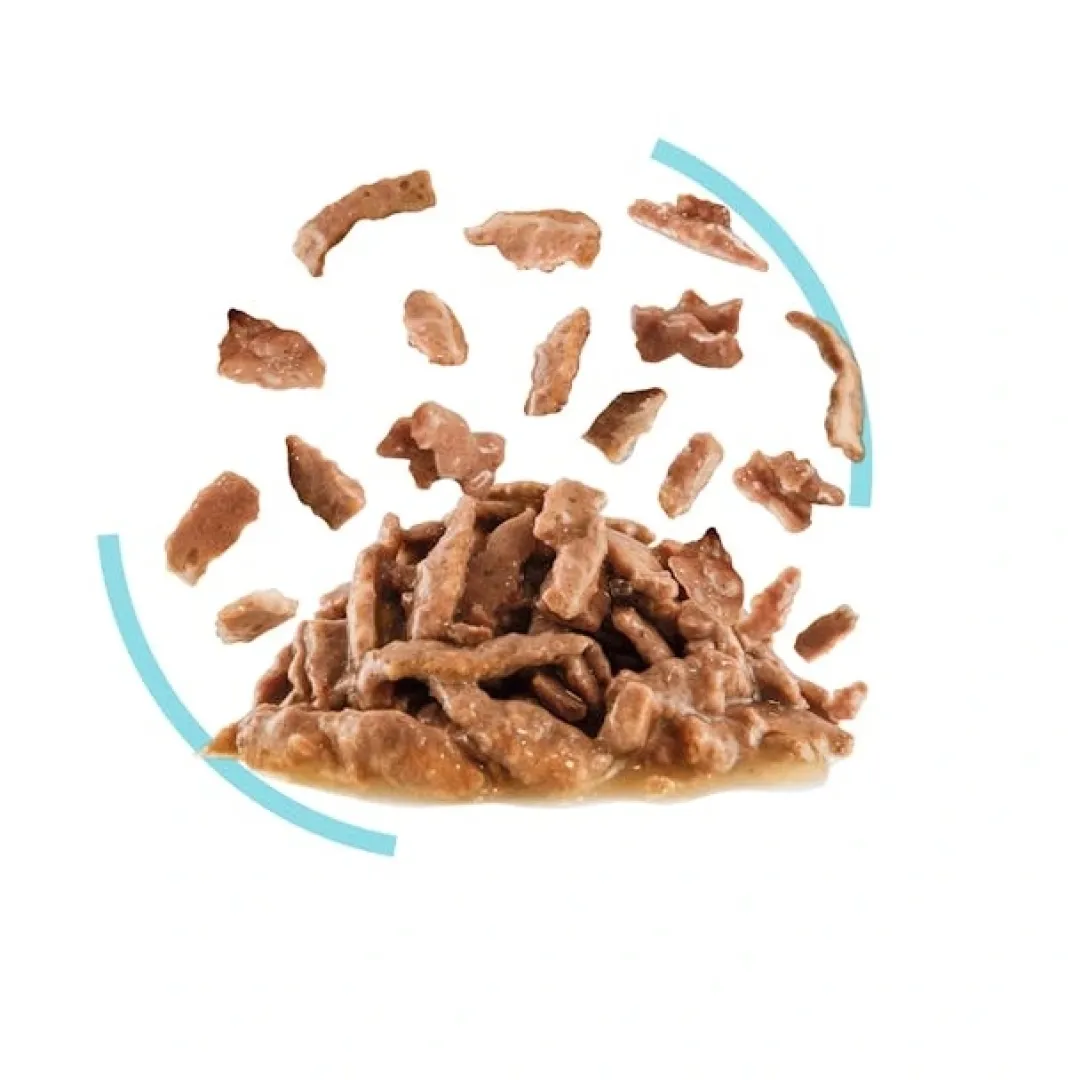 Online Royal Canin Kattevådmad Sensory Feel Sovs Adult Kattefoder & Snacks