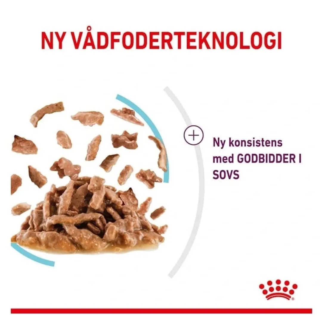 Online Royal Canin Kattevådmad Sensory Feel Sovs Adult Kattefoder & Snacks