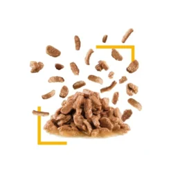 Sale Royal Canin Kattevådmad Sensory Taste Sovs Adult Kattefoder & Snacks