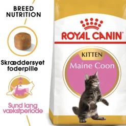 Online Royal Canin Kitten Maine Coon 4 kg Killingefoder - Sundt Kattefoder Til Killinger I Alle Racer|Kattefoder & Snacks