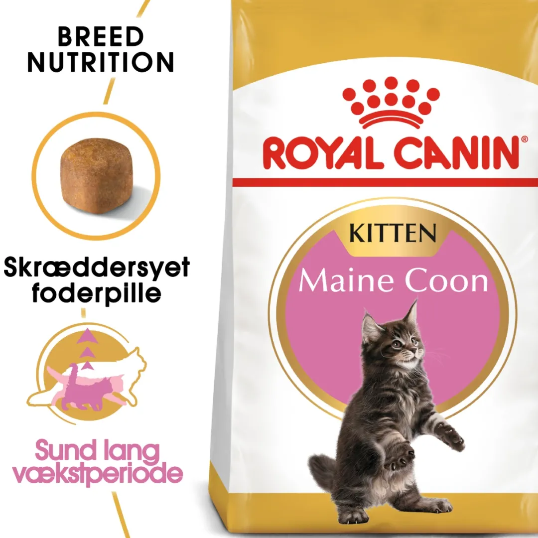 Online Royal Canin Kitten Maine Coon 4 kg Killingefoder - Sundt Kattefoder Til Killinger I Alle Racer|Kattefoder & Snacks