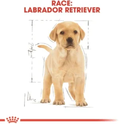 Discount Royal Canin Labrador Retriever Puppy 12 kg - tørfoder til hvalpe Hundefoder|Tørfoder Til Hunde I Alle Størrelser Og Aldre