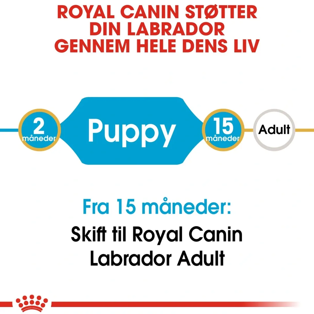 Discount Royal Canin Labrador Retriever Puppy 12 kg - tørfoder til hvalpe Hundefoder|Tørfoder Til Hunde I Alle Størrelser Og Aldre