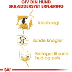 New Royal Canin Labrador Retriever Adult 12 kg - tørfoder til voksne hunde Hundefoder|Tørfoder Til Hunde I Alle Størrelser Og Aldre