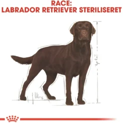Best Royal Canin Labrador Retriever Sterilised Adult 12 kg - tørfoder til voksne hunde Hundefoder|Tørfoder Til Hunde I Alle Størrelser Og Aldre