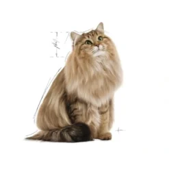 Royal Canin Light Weight Jelly vådfoder 85 g Kattefoder & Snacks