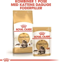 Sale Royal Canin Maine Coon 2 kg Kattefoder & Snacks