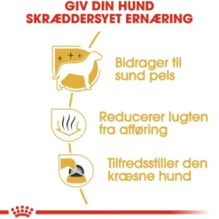 Hot Royal Canin Maltese Adult 1,5 kg - tørfoder til maltesere Hundefoder|Tørfoder Til Hunde I Alle Størrelser Og Aldre