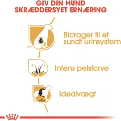 Sale Royal Canin Miniature Schnauzer Adult 7,5 kg - tørfoder til voksne hunde Hundefoder|Tørfoder Til Hunde I Alle Størrelser Og Aldre