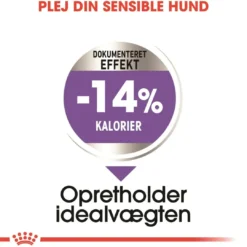 Clearance Royal Canin Mini Sterilised Adult 8 kg - hundefoder til steriliserede små hunde Hundefoder|Tørfoder Til Hunde I Alle Størrelser Og Aldre