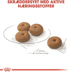 Clearance Royal Canin Mini Sterilised Adult 8 kg - hundefoder til steriliserede små hunde Hundefoder|Tørfoder Til Hunde I Alle Størrelser Og Aldre