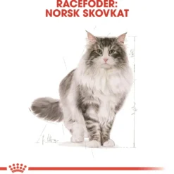 New Royal Canin Norsk Skovkat 10 kg (Norwegian Forest Cat) Kattefoder & Snacks