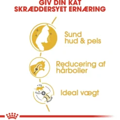 New Royal Canin Norsk Skovkat 10 kg (Norwegian Forest Cat) Kattefoder & Snacks