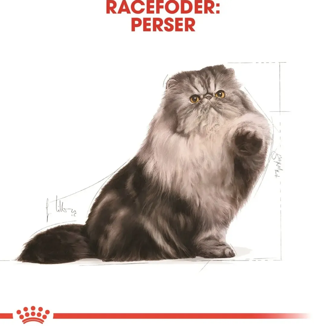 Hot Royal Canin Persian 2 kg Kattefoder & Snacks
