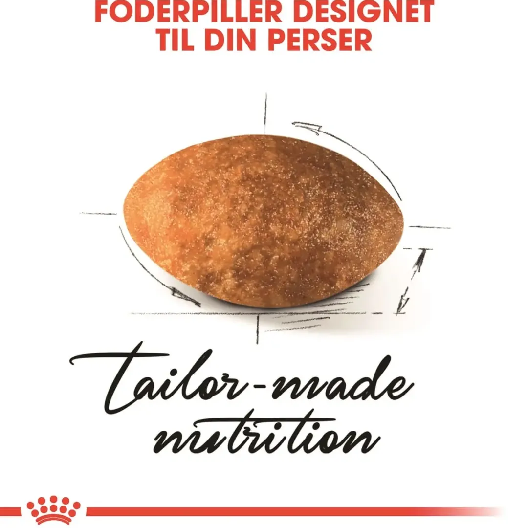 Hot Royal Canin Persian 2 kg Kattefoder & Snacks