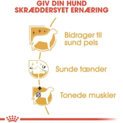 Online Royal Canin Poodle Adult 1,5 kg - tørfoder til voksne pudler Hundefoder|Tørfoder Til Hunde I Alle Størrelser Og Aldre