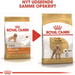 Online Royal Canin Poodle Adult 1,5 kg - tørfoder til voksne pudler Hundefoder|Tørfoder Til Hunde I Alle Størrelser Og Aldre
