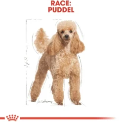 Online Royal Canin Poodle Adult 1,5 kg - tørfoder til voksne pudler Hundefoder|Tørfoder Til Hunde I Alle Størrelser Og Aldre