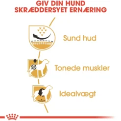 Hot Royal Canin Pug Adult 7,5 kg - tørfoder til mops Hundefoder|Tørfoder Til Hunde I Alle Størrelser Og Aldre