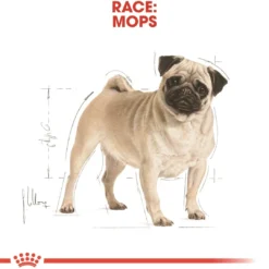 Clearance Royal Canin Pug Adult 1,5 kg - tørfoder til mops Hundefoder|Tørfoder Til Hunde I Alle Størrelser Og Aldre