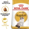Sale Royal Canin Ragdoll 10 kg Kattefoder & Snacks