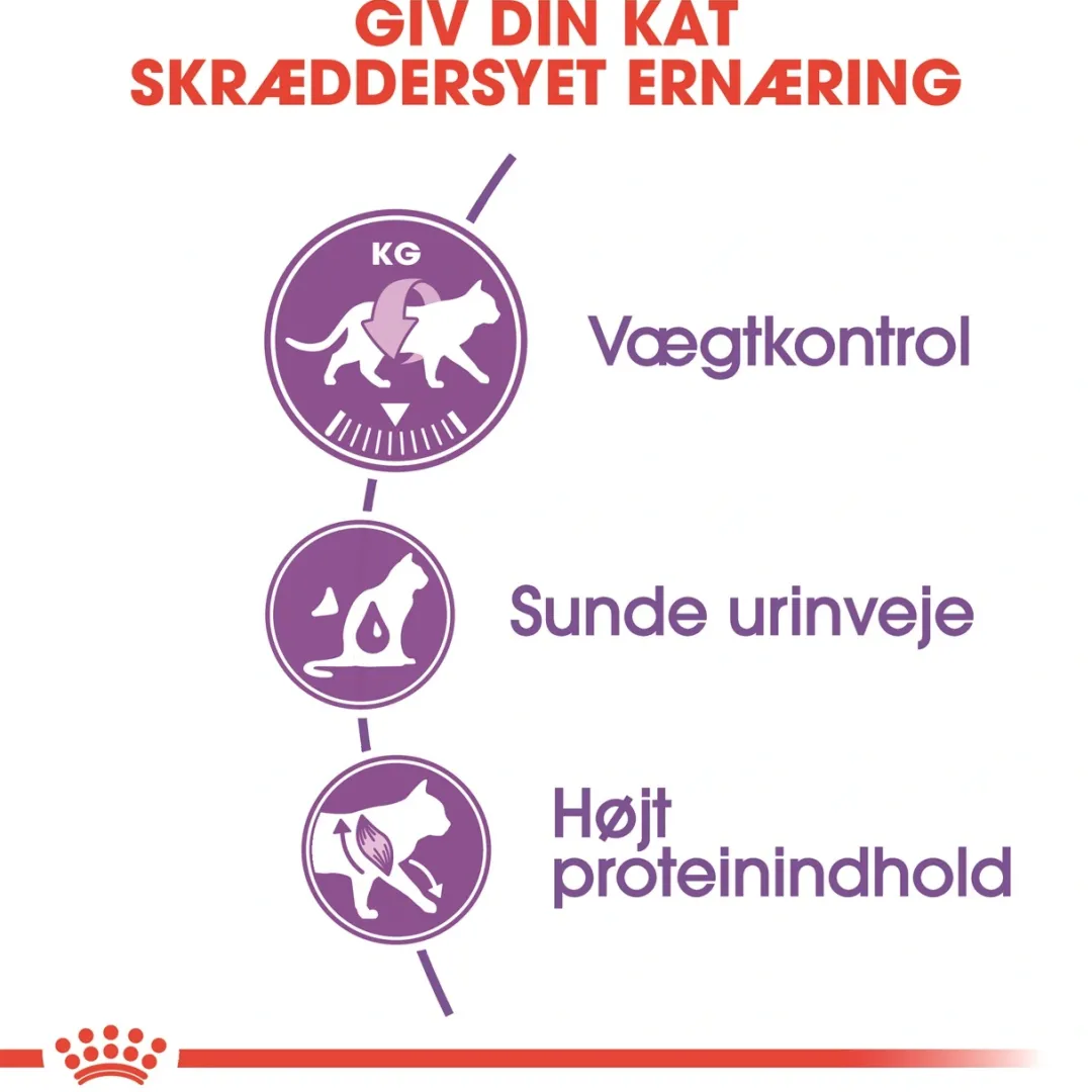 Clearance Royal Canin Regular Sterilised 10 kg Kattefoder & Snacks